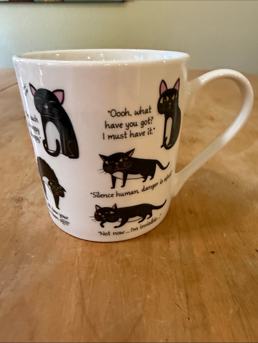 Cute Black Cat Ceramic Mug - 2017 Ginger Fox